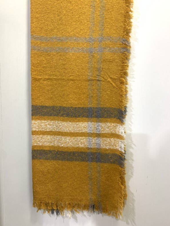 Écharpe motif Burberry