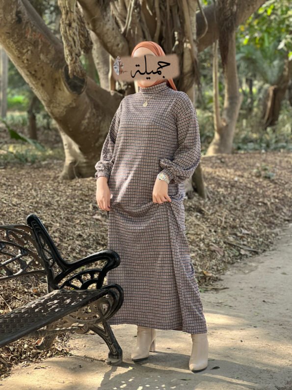 Winter Dress
