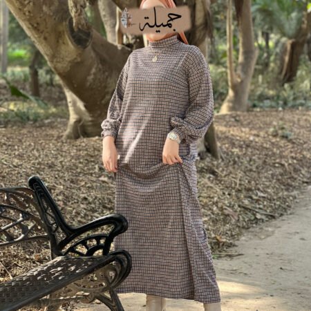 Winter Dress